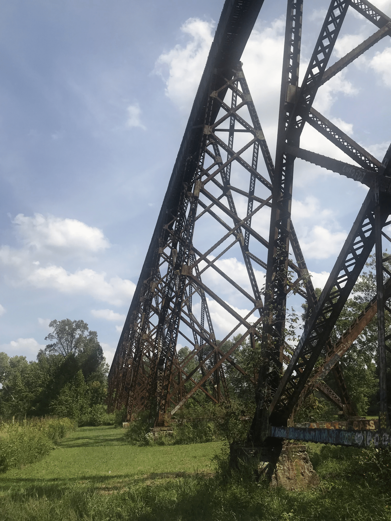 Read more about the article The Majestic Tulip Trestle: Standing Tall